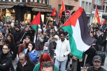 Manifestation pour un cessez-le-feu immédiat à Gaza et une halte au massacre