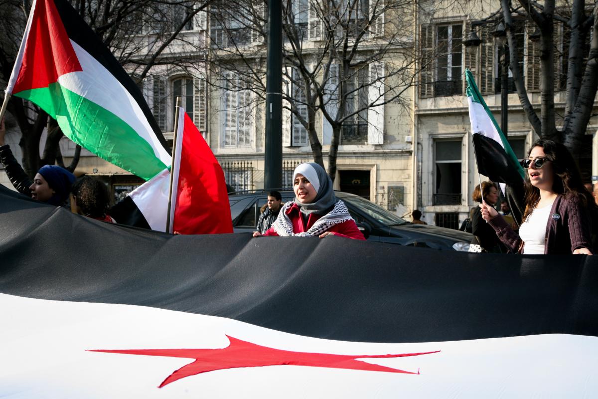 Jeune manifestante tenant le drapeau syrien.