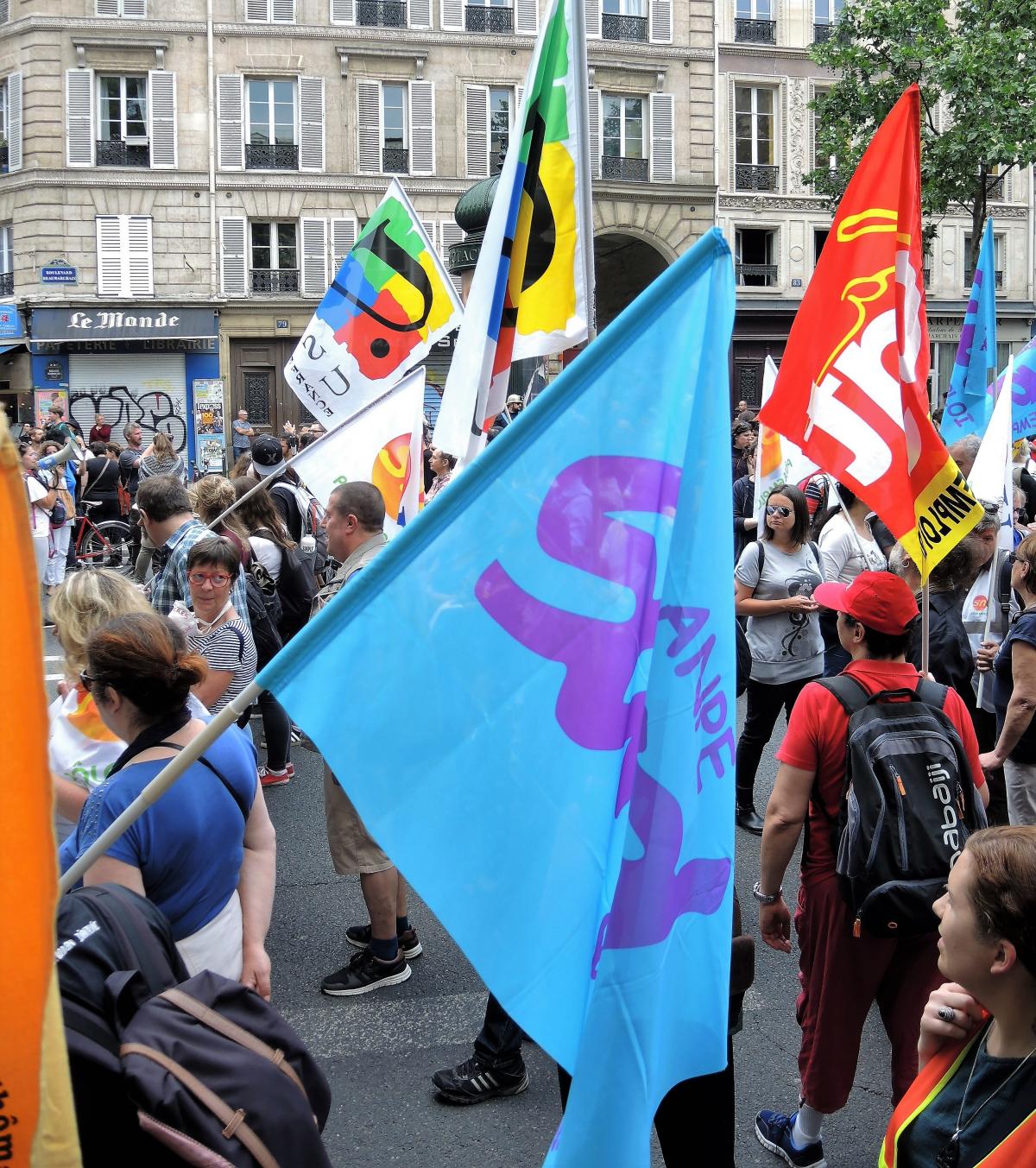 Drapeau syndicat de Sud Anpe