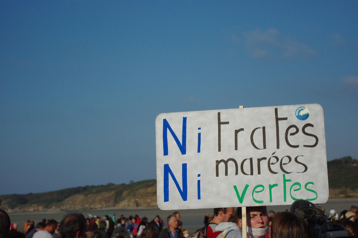 nitrate ni algues vertes