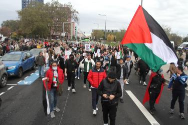 Manifestation pour un cessez-le-feu immédiat à Gaza et une halte au massacre