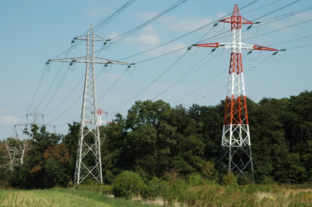 Ligne électrique passant au dessus de la fôret ERDF ( Electricité réseau de distribution France).