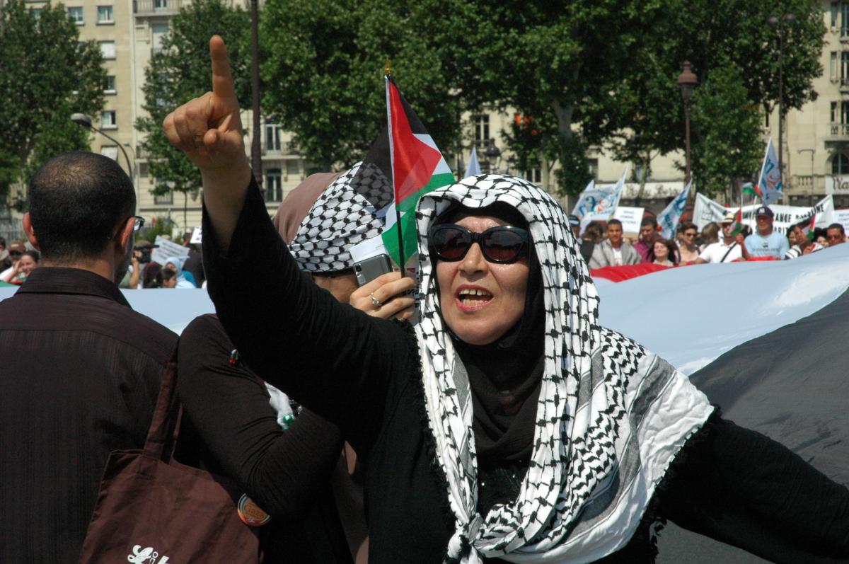 manifestante pour la levée du blocus de GAZA sur le pont d'Austerlitz Paris.
