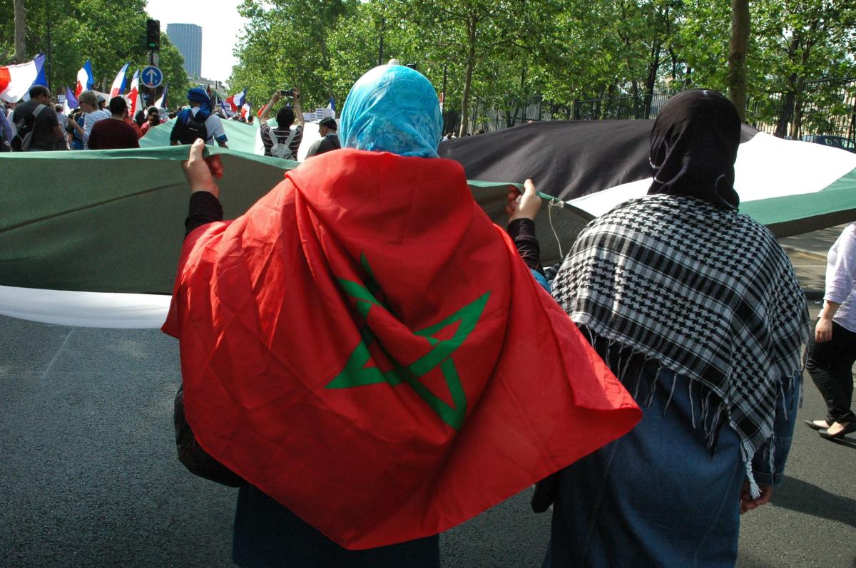 manifestantes avec drapeaux contre le blocus de GAZA en Palestine,vers la tour Montparnasse.