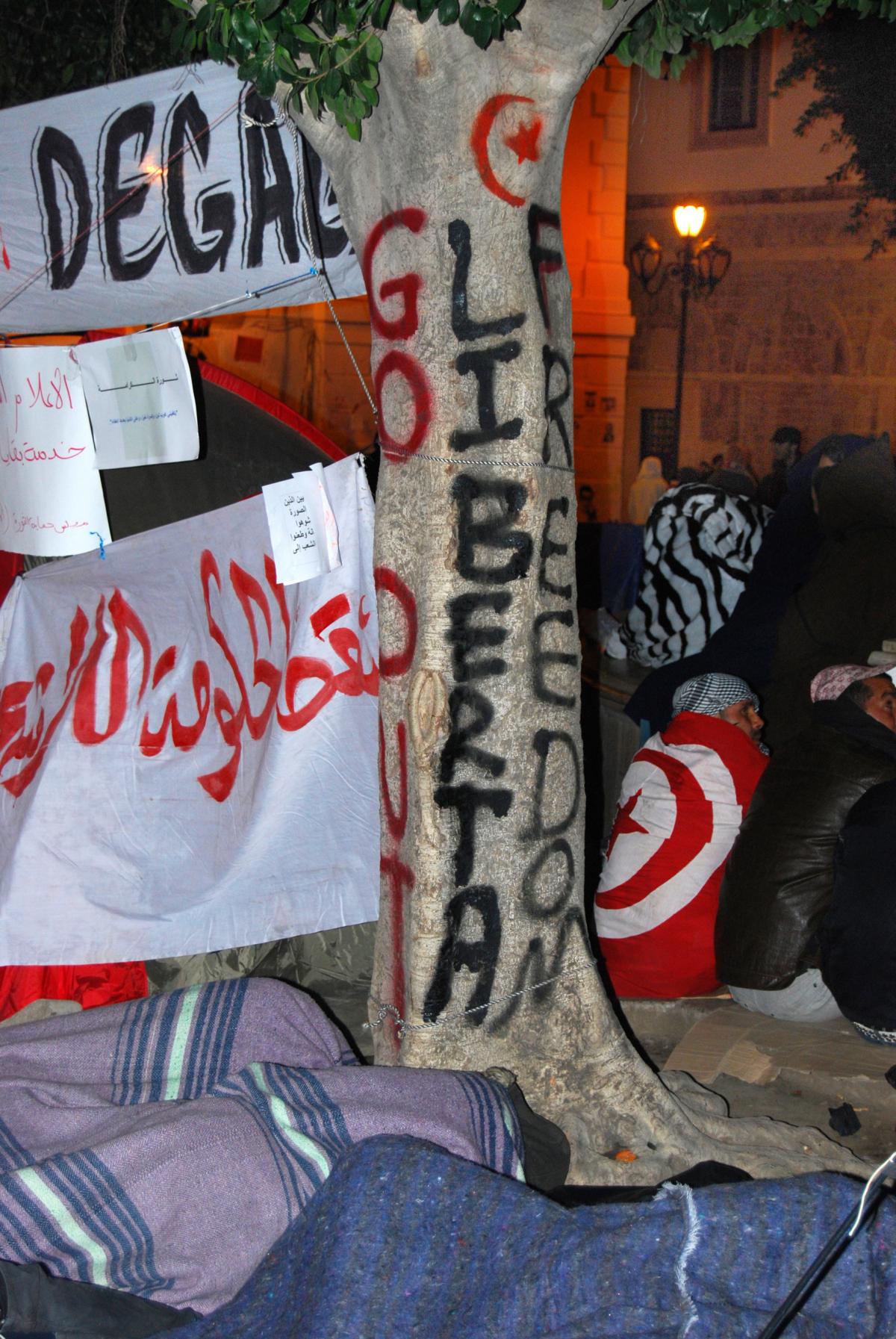 Tunis, place de la Kasbah, dans la nuit du 25 au 26 février 2011. L'arbre de la liberté tunisienne.
