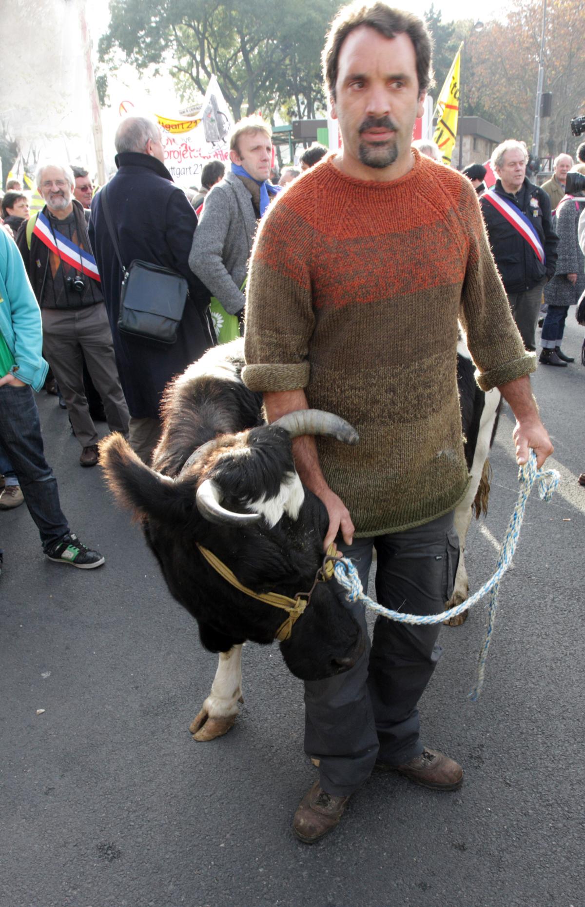 Agriculteur avec sa vache contre l'aéroport