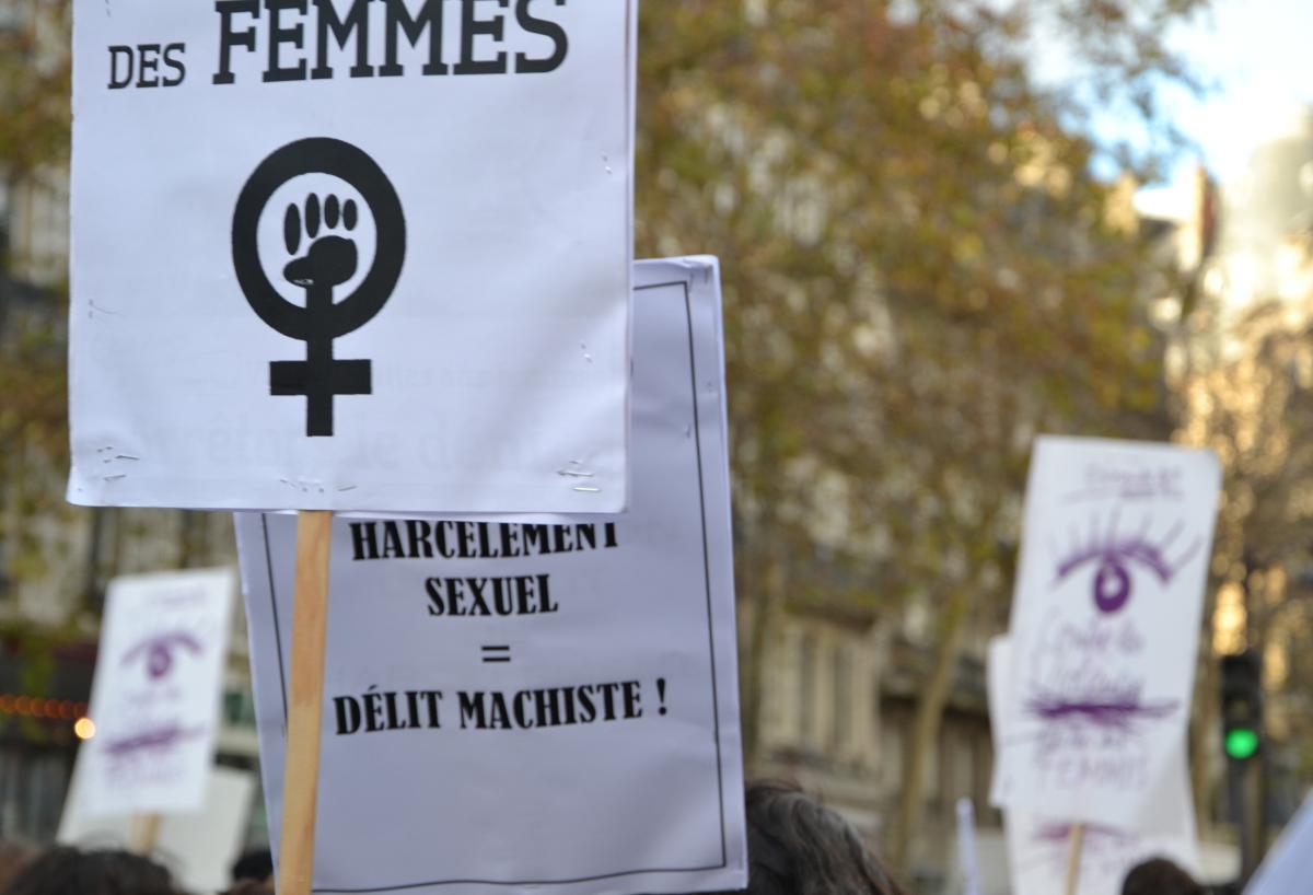 Panonceau harcellement. Manifestation contre les violences faites aux femmes, dimanche 25 novembre, Paris