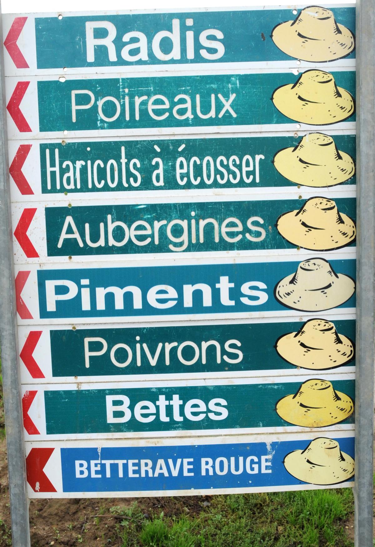 Affiche ferme cueillette libre- service