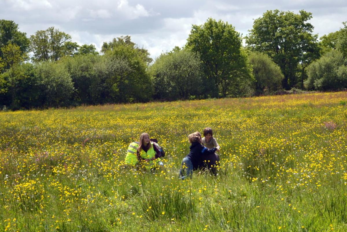 Enfants jouant dans un champ de Notre-Dame-Des-Landes