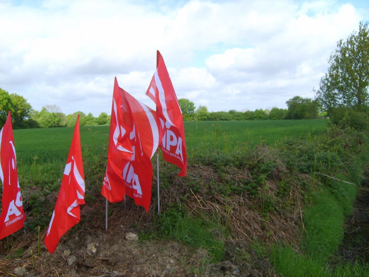 Drapeaux + Champs de NDDL