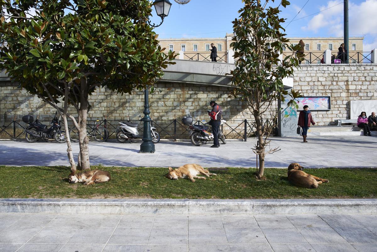 Place Syntagma, Athènes.