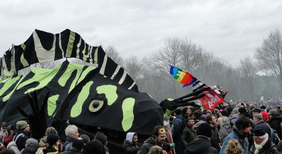 Les tritons vainqueurs sur la ZAD de Notre-Dame-des-Landes