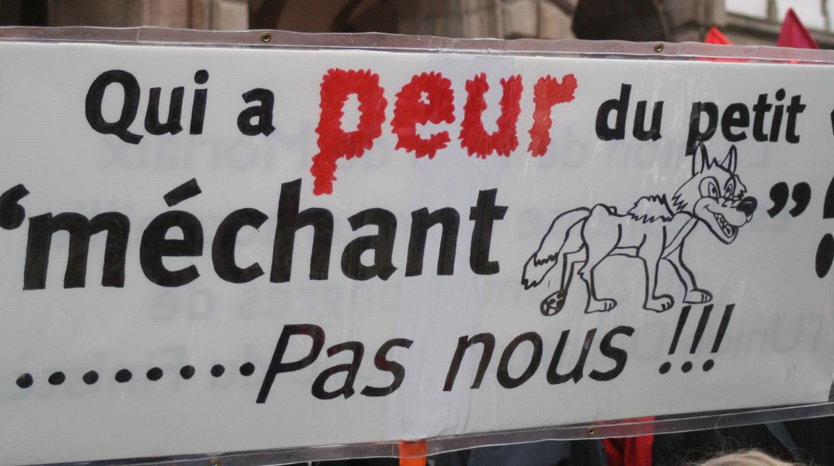 Manif du 29 janvier 2009