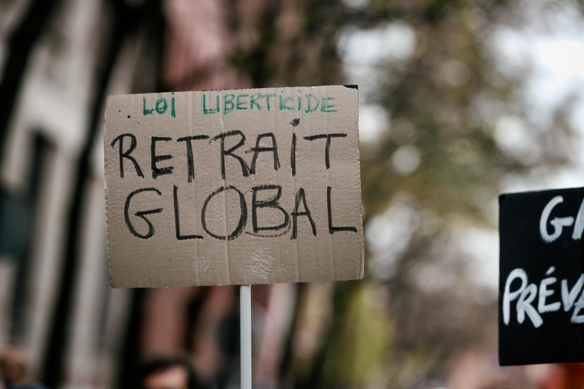 FRANCE - SOCIAL - DEMONSTRATION - SECOND MARCH OF LIBERTIES