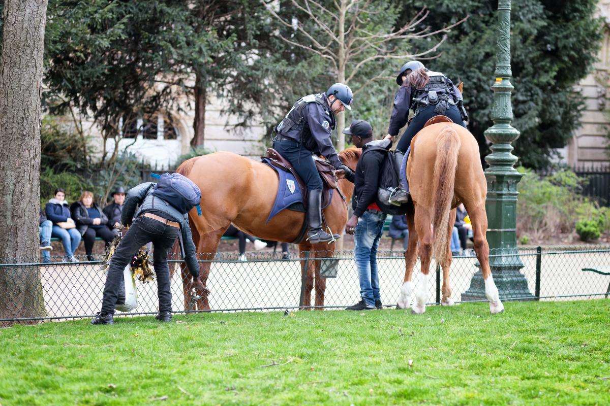 FRANCE - ARREST OF A STREET VENDOR