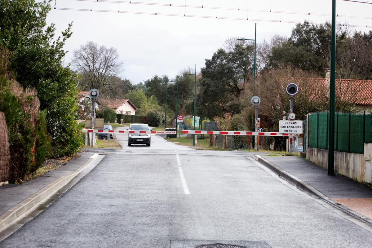 FRANCE - LANDES ILLUSTRATIONS