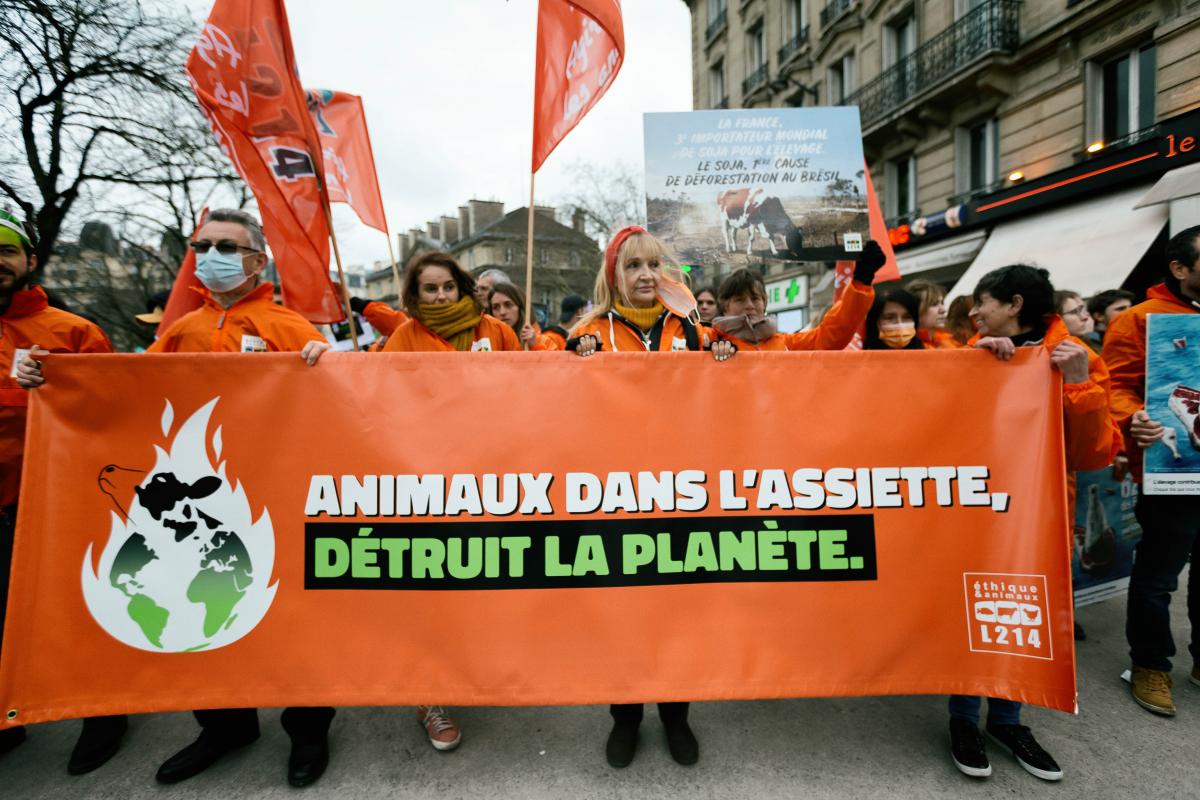 FRANCE - SOCIAL - LOOK UP CLIMATE DEMONSTRATION