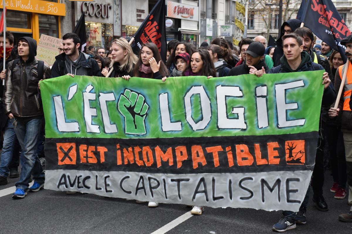Marche climat 8 décembre 2018 Lyon