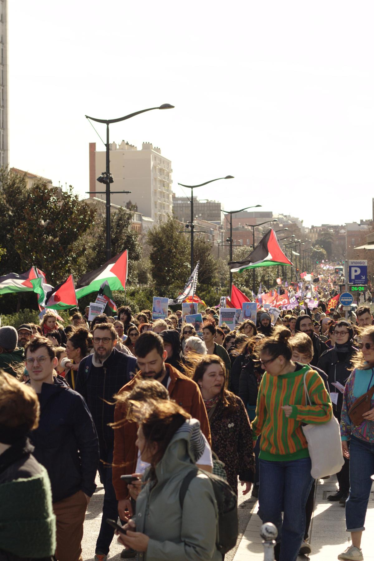 FRANCE - TOULOUSE - MANIFESTATION DU 8 MARS - DRAPEAUX PALESTINIENS DANS LE CORTEGE